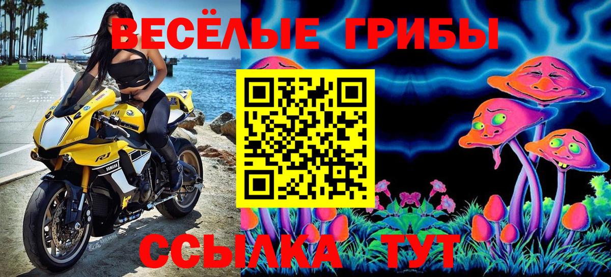 Глазов  Псилоцибиновые грибы Psilocybine cubensis  Вход с VPN 